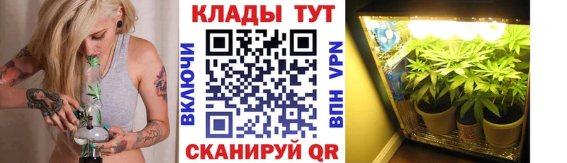 Гашиш Зубцов