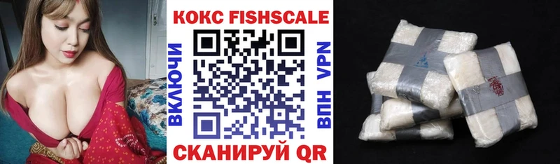 Кокаин Эквадор Зубцов