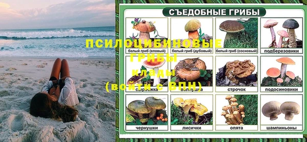 соль ск Дмитриев
