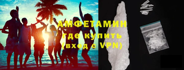 ПСИЛОЦИБИНОВЫЕ ГРИБЫ Гусев