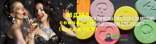 ПСИЛОЦИБИНОВЫЕ ГРИБЫ Гусев