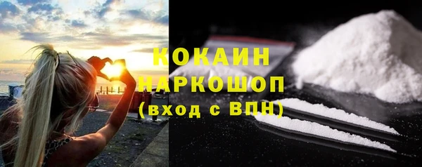 ПСИЛОЦИБИНОВЫЕ ГРИБЫ Гусев