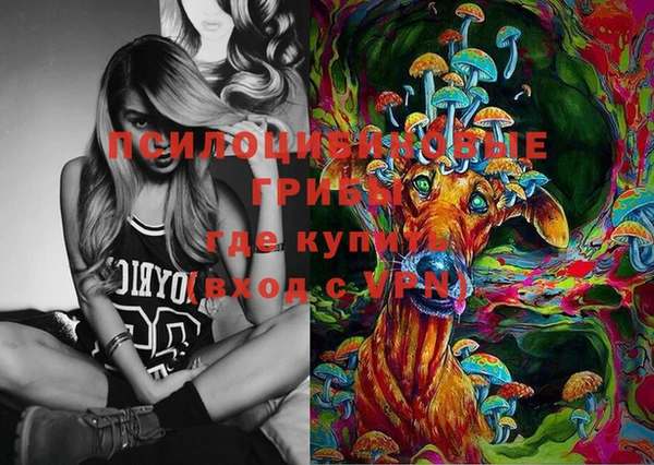 соль ск Гусь-Хрустальный