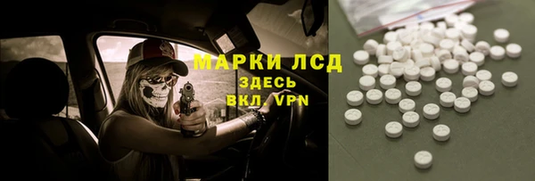 ПСИЛОЦИБИНОВЫЕ ГРИБЫ Гусев
