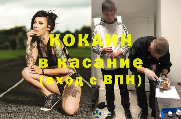 ПСИЛОЦИБИНОВЫЕ ГРИБЫ Гусев