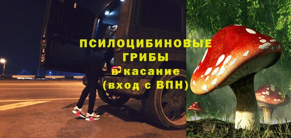 соль ск Дмитриев