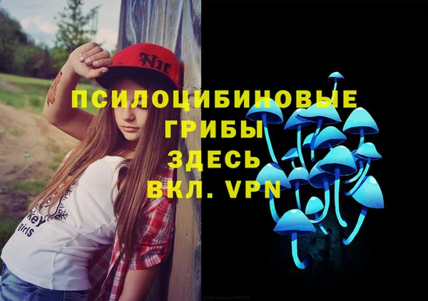 соль ск Дмитриев