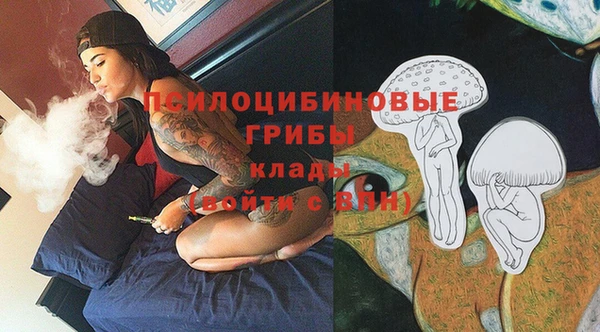 ПСИЛОЦИБИНОВЫЕ ГРИБЫ Гусев