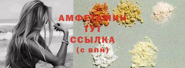 ПСИЛОЦИБИНОВЫЕ ГРИБЫ Гусев