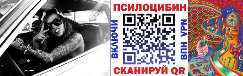 мориарти официальный сайт Зубцов Псилоцибиновые грибы GOLDEN TEACHER